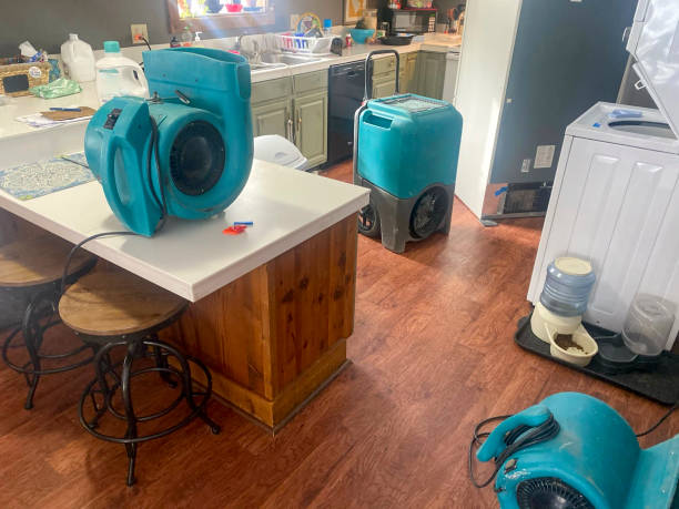 Carpet water damage restoration in Stanton, MI