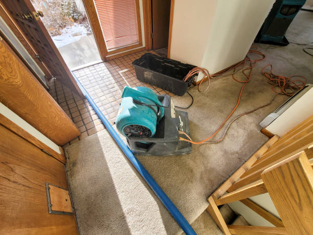 Reliable Stanton, MI Water damage restoration Solutions