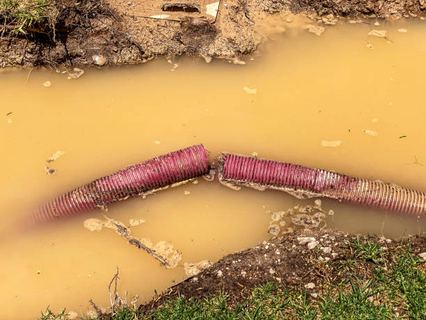 Best Residential water damage restoration  in Stanton, MI